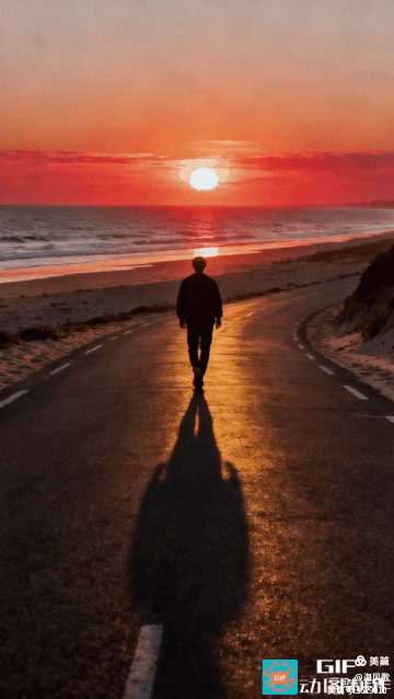 日常微光
别让疲惫绊住脚步，
追着日常的暖光，
走在靠近温柔的路上。