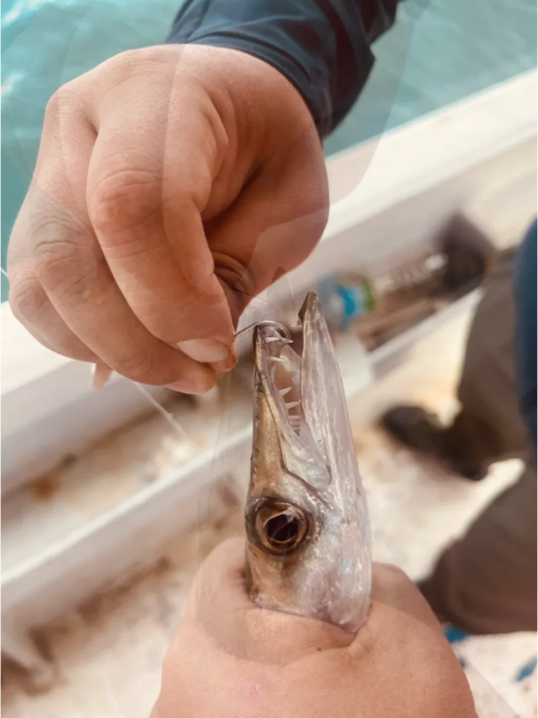 仙本那玻璃海6日游📍人均3280全款拿下