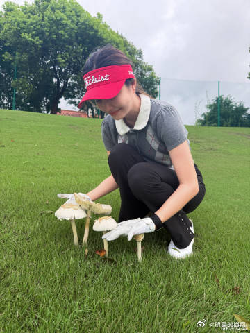 安崎采蘑菇的小姑娘安崎晒高尔夫球场的蘑菇一场雨后，高尔夫球场长出了小蘑菇，安崎练