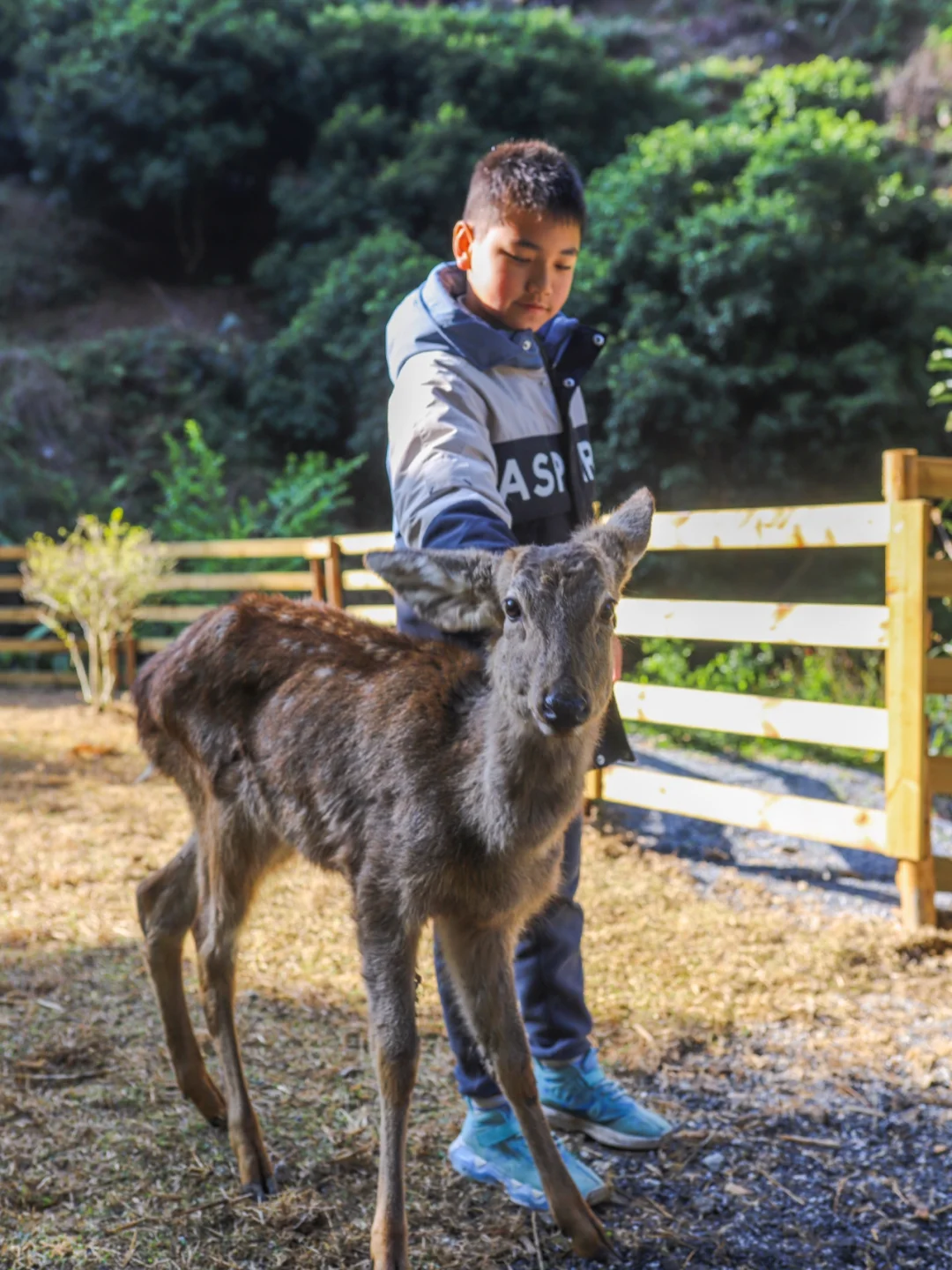 作为一名亲子旅游kol，“小乐玩”从小就跟着爸爸四处去旅游，接触到不同人群，积累