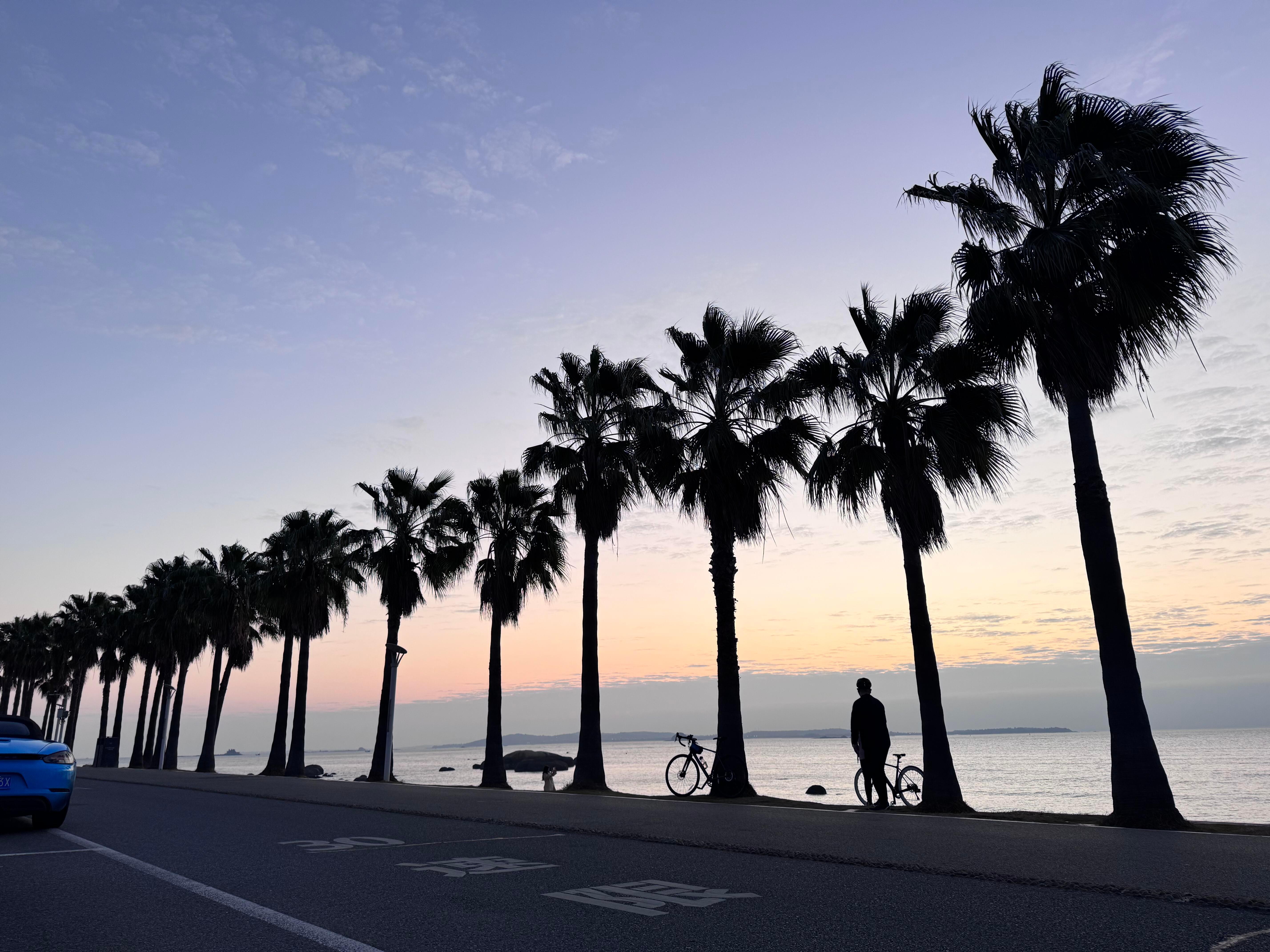 毕业季  来夏日企画分享海边治愈壁纸🌴 椰林碎浪、落日漫过金色沙滩，温柔氛围感