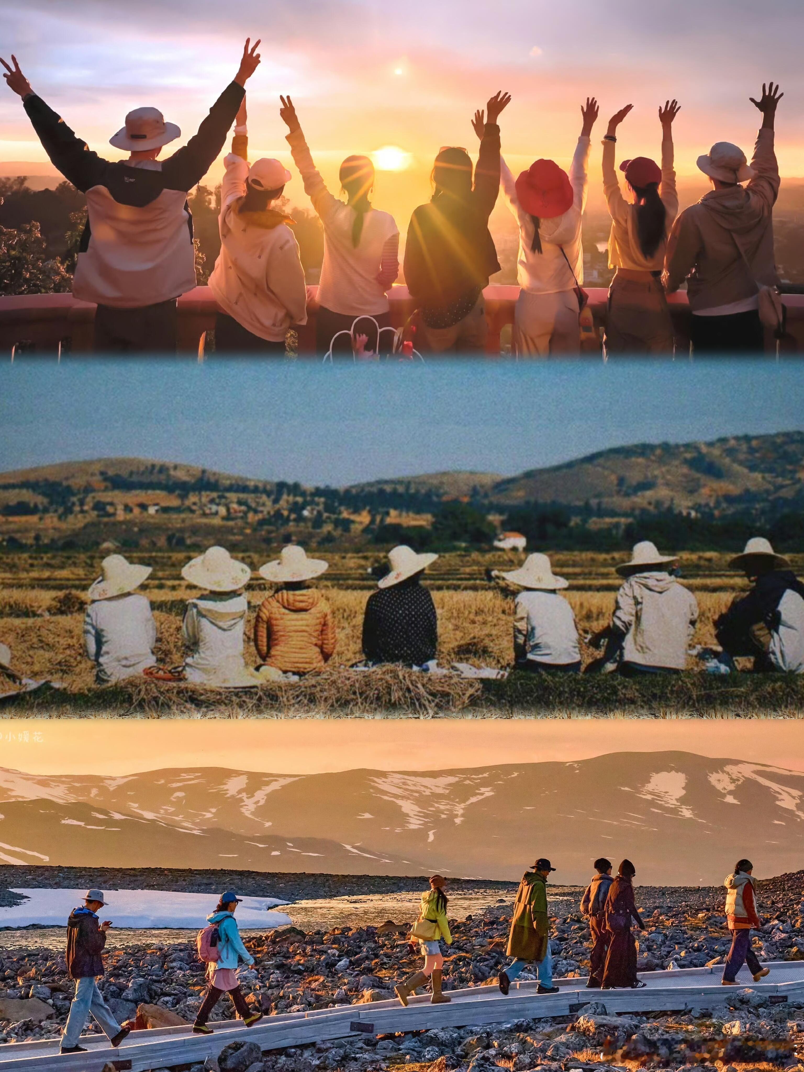 花少7 好浓的家味儿 花少7简直是内耗人的解药！看七位“淡人”相处太舒服了～一起