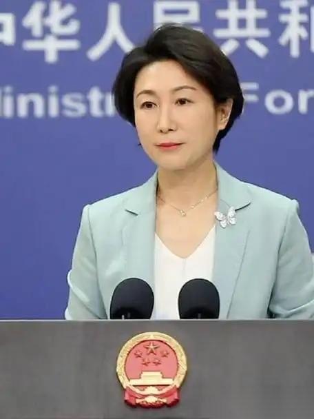 4月9日，针对以色列对黎巴嫩进行大规模空袭后，中国外交部强调：黎巴嫩的主权和安全