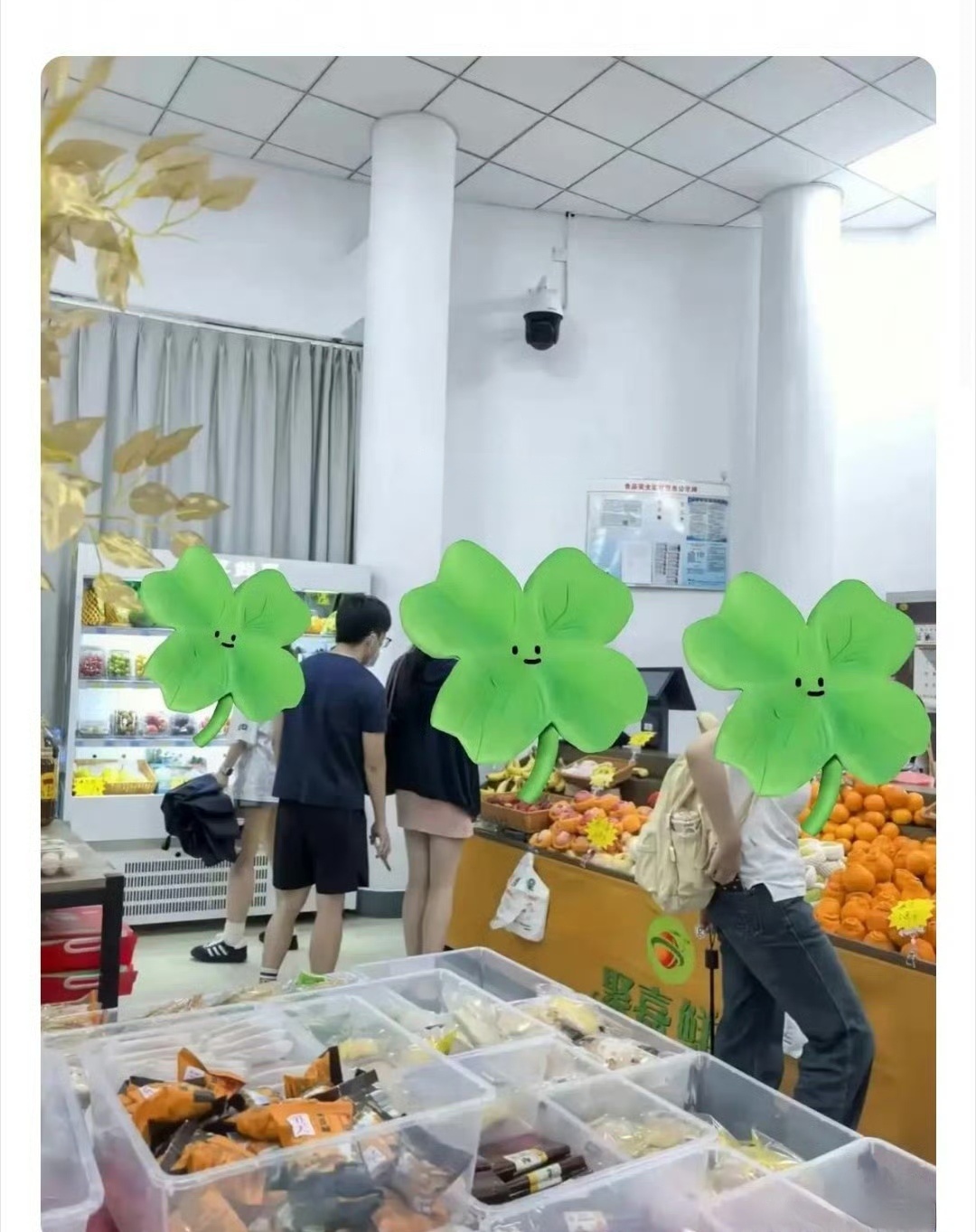 研三学生偷拍女生裙底被开除学籍，同时将面临治安拘留处罚。已被江苏某地税务局拟录取