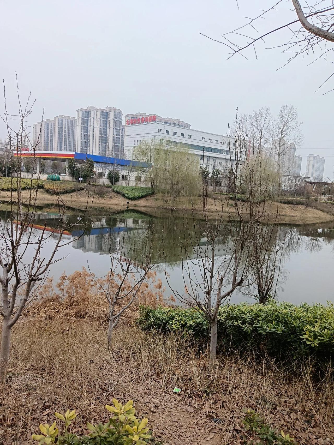 街拍分享(商丘)
