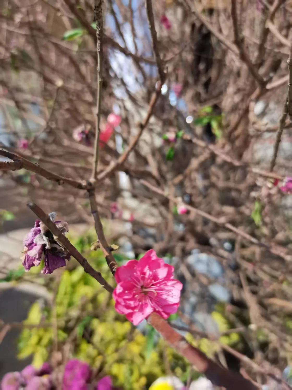 人从出生以后，所有人教会了我们贪婪，欲望，但在得与失之间会产生浮躁，一旦浮躁形成