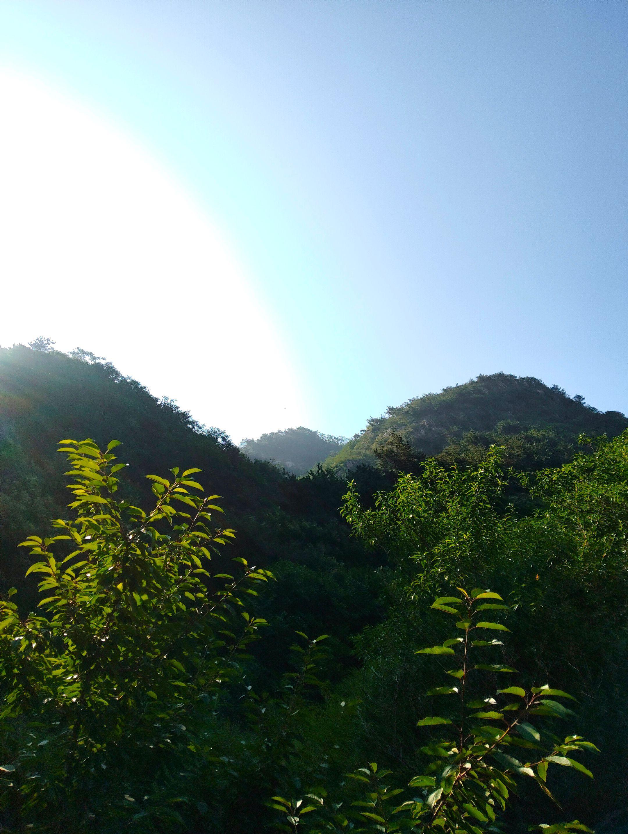 但凡有点上进心的高中生，几乎都要经历失眠、焦虑、抑郁的阶段。熬过去可能...