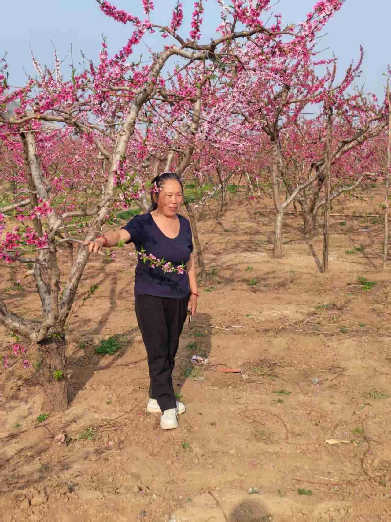 我的今日状态：😁轻松愉快
我这里的天气：☀️晴天
