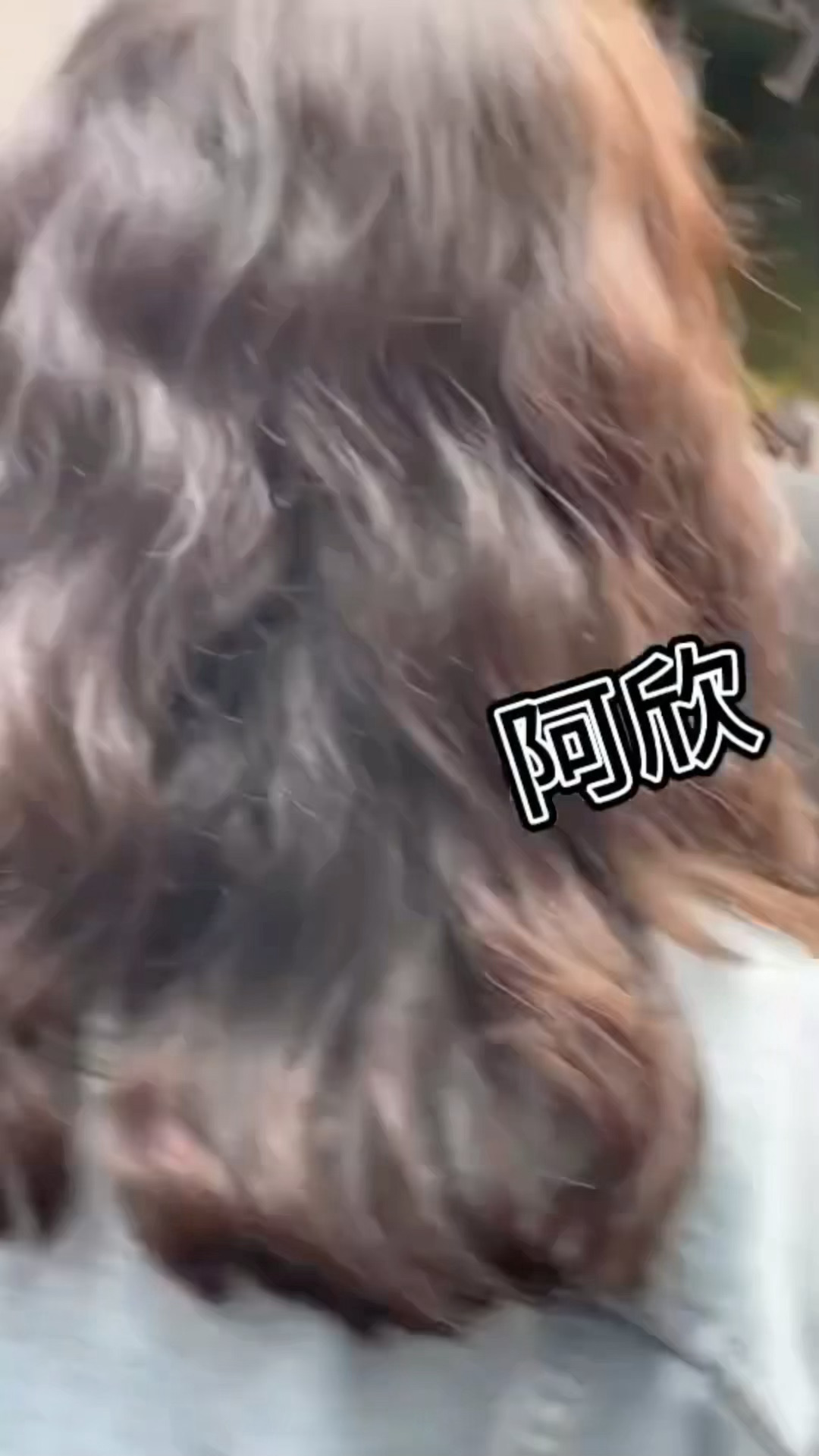 受不了了这个佘诗曼人怎么这么好🥹 跨越人潮收粉丝的信还满足粉丝愿望主动写to签