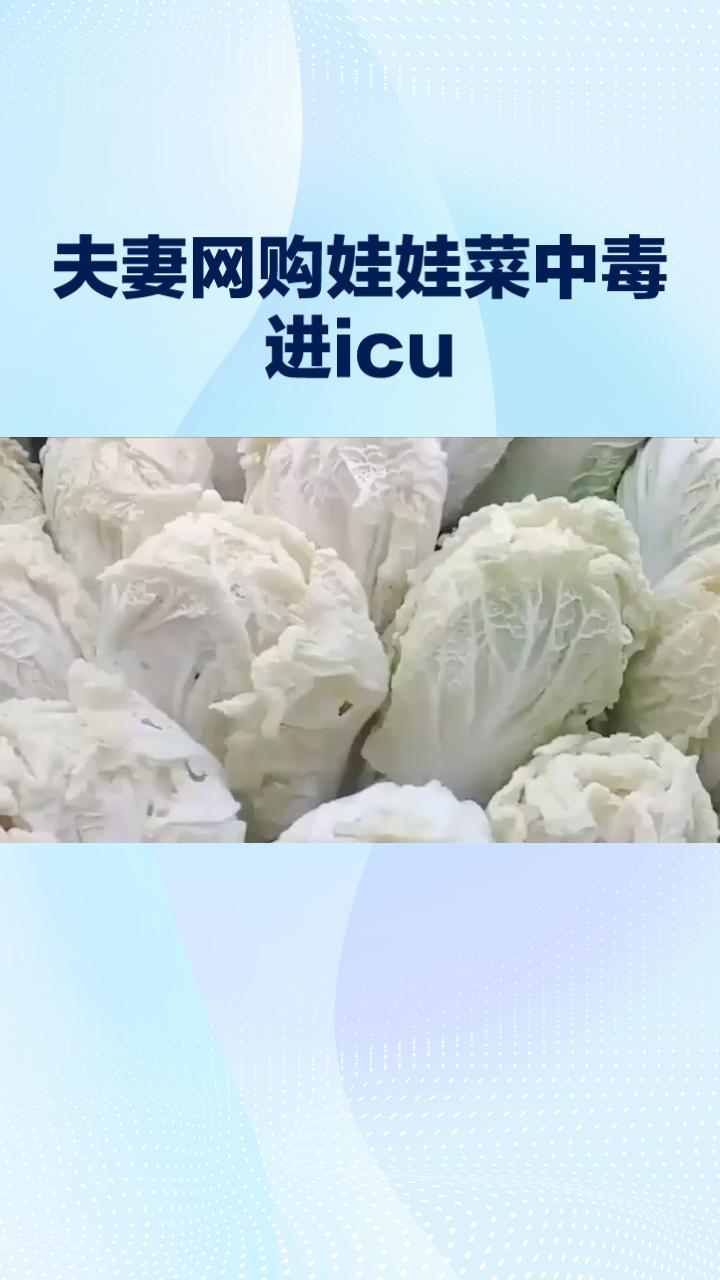 夫妻网购娃娃菜竟中毒进ICU，真相竟是丈夫所为？真相背后隐藏了什么？
近日，浙江
