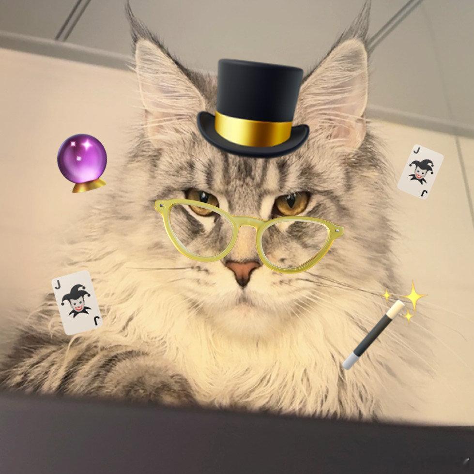 反差萌拉满！真霸总挺会过日子的高端质感+划算价格，这波操作太圈粉～ 