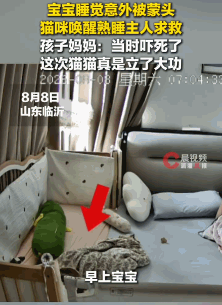 万物皆有灵！山东临沂。一小宝宝睡觉翻身时，不慎被被子死死蒙住了头部，随时面临窒息