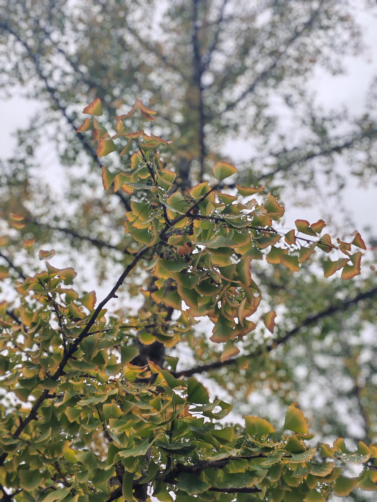 你心中的生活是什么样子？