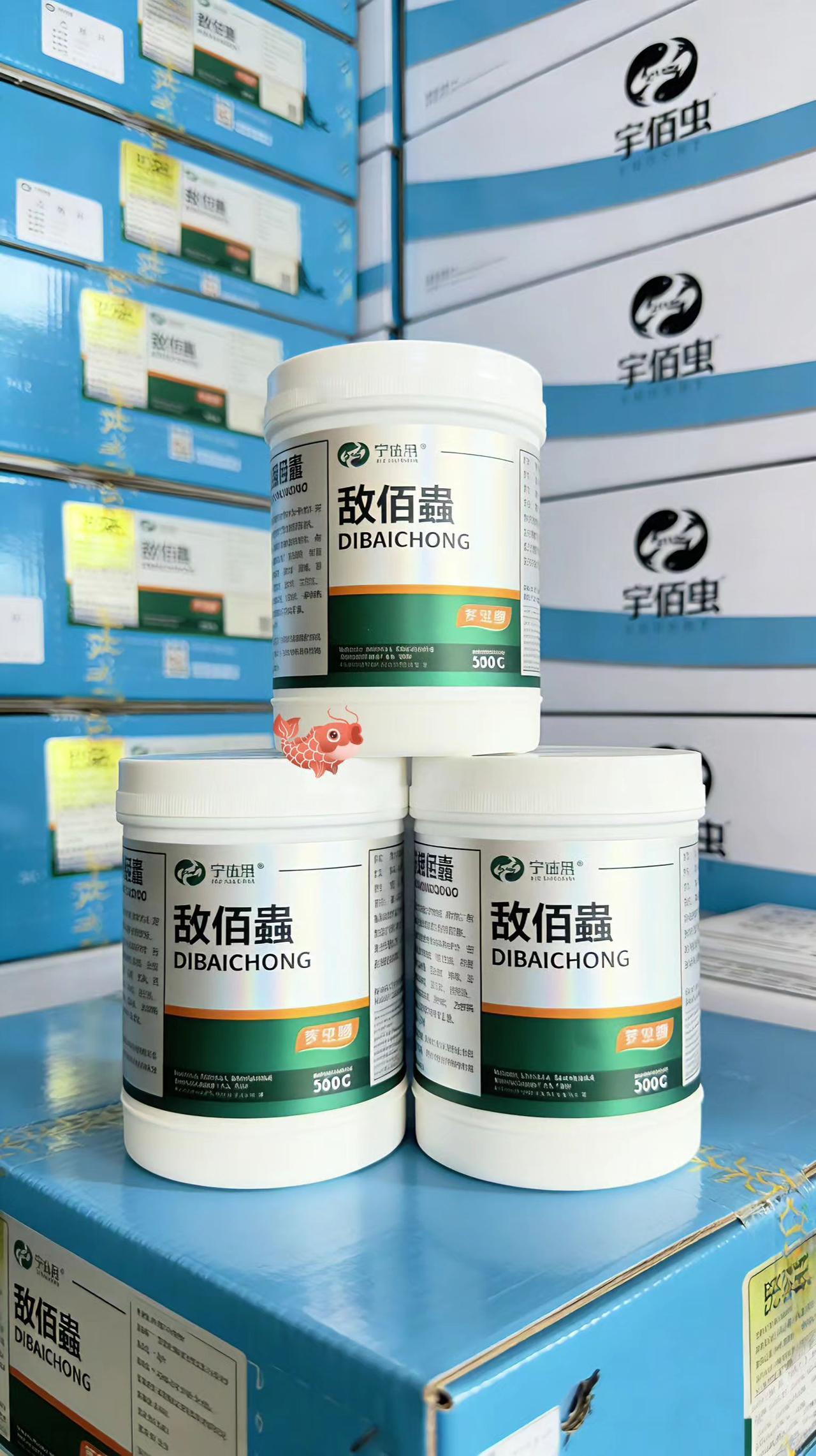 敌佰蟲 鱼塘养殖 鲢鱼 鲤鱼 草鱼