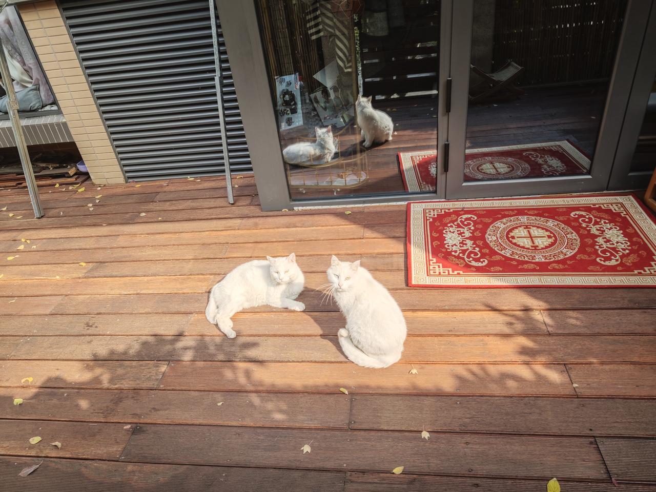 什么叫享受生活？这是一个见仁见智的问题。在享受生活与继续工作之间进行二选一，这本