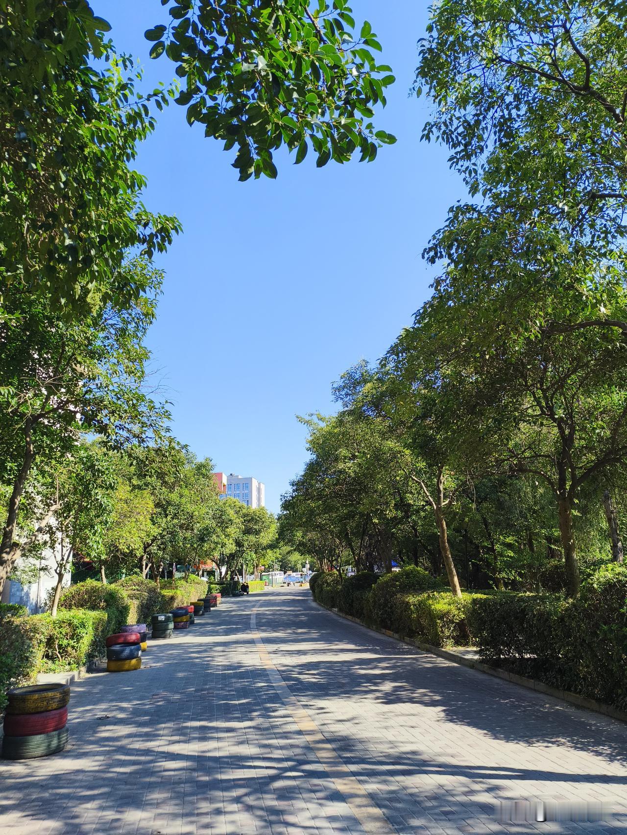 8月7号19点42分立秋，虽说不少人觉得早立秋冷飕飕该高兴，但今年立秋可没那么简