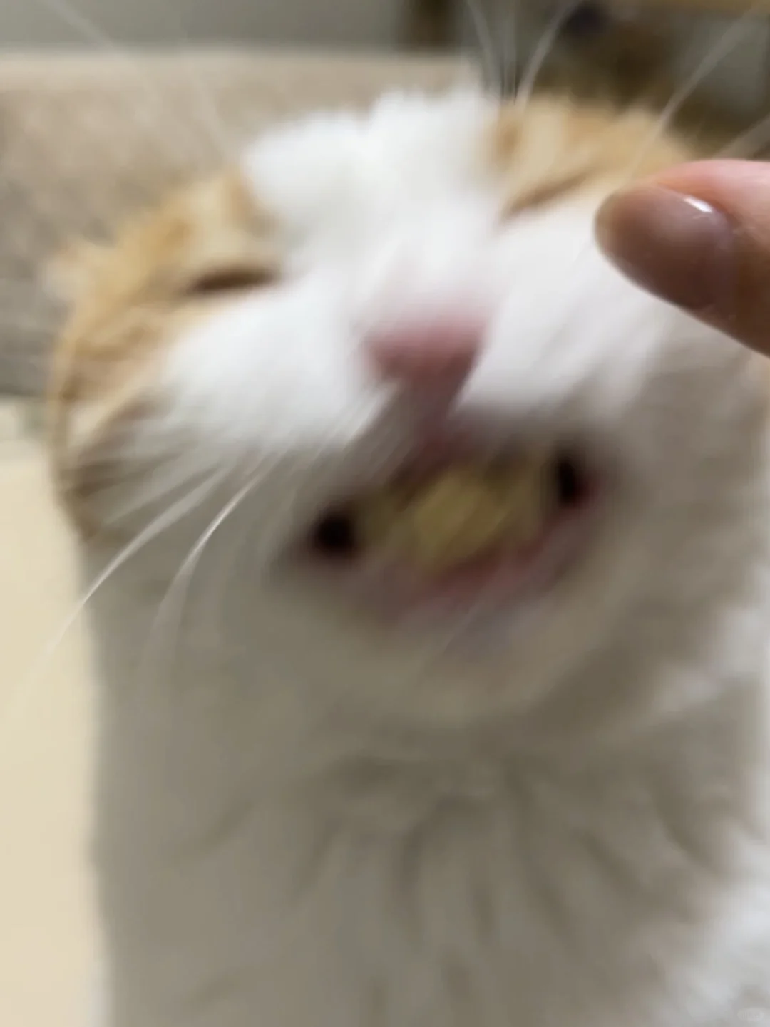 啊———