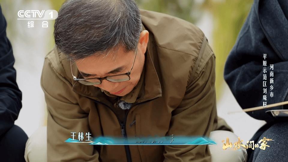 中国科学家花10年培育1粒小麦种子每4个馒头就有1个来自河南 真的被十年育一粒麦