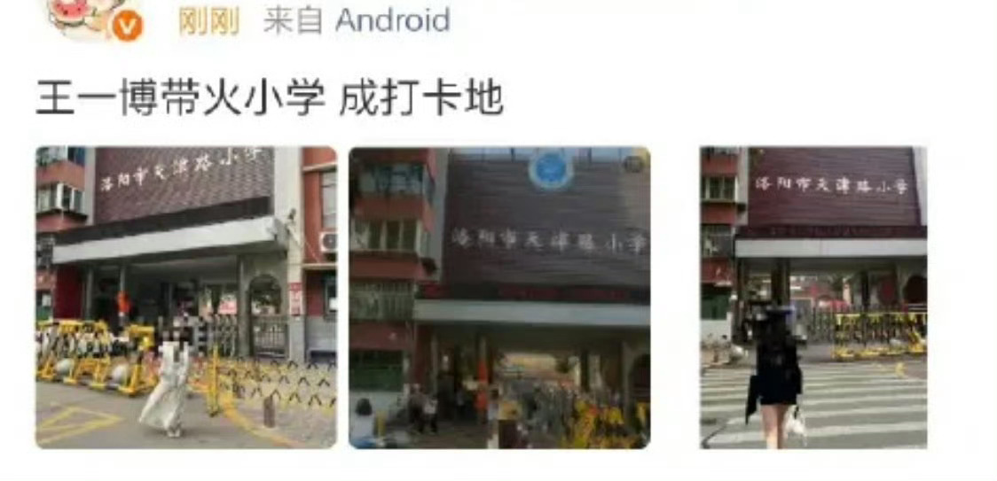 心酸的嘞 