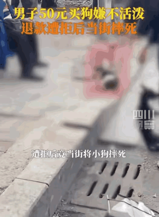 11月5日，河南周口一男子在市场上花了50元买了一只小宠物狗，回到家后发现小狗不