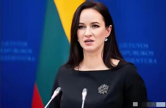 立陶宛彻底暴露了！总理刚对着镜头哭诉"释放了所有善意却等不到中方回应"，扬言要采