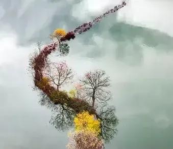 深秋时节的诗情画意。共享美景图片 上传美丽秋天 季节的美景 发一张秋日景色