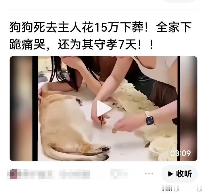 刚刚看到了一个荒唐到了极致的视频，我在想它的爷爷、奶奶、父亲、母亲等等等死了，下