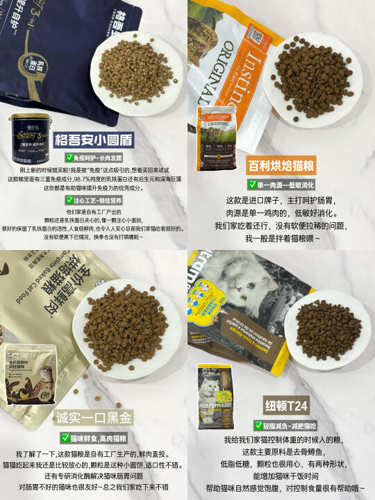 不是吧！你还不会选烘焙猫粮！新手速进！！