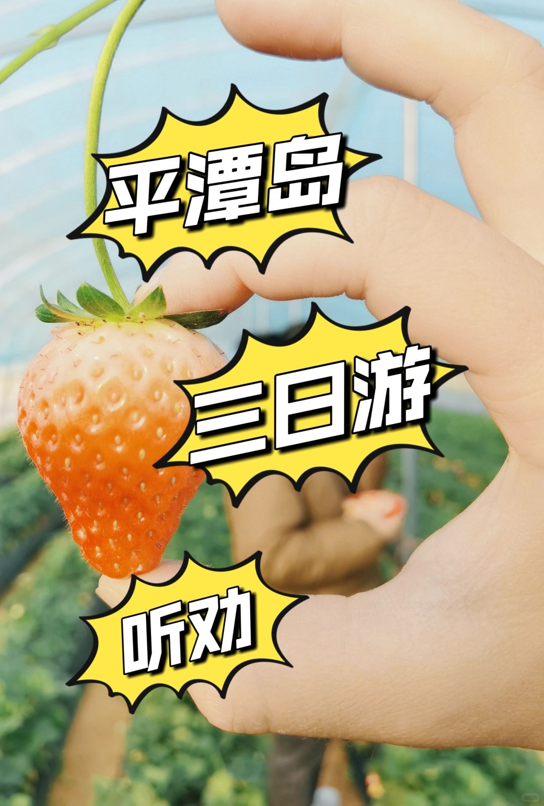 乖，听劝‼️去平潭前要知道的那些事‼️