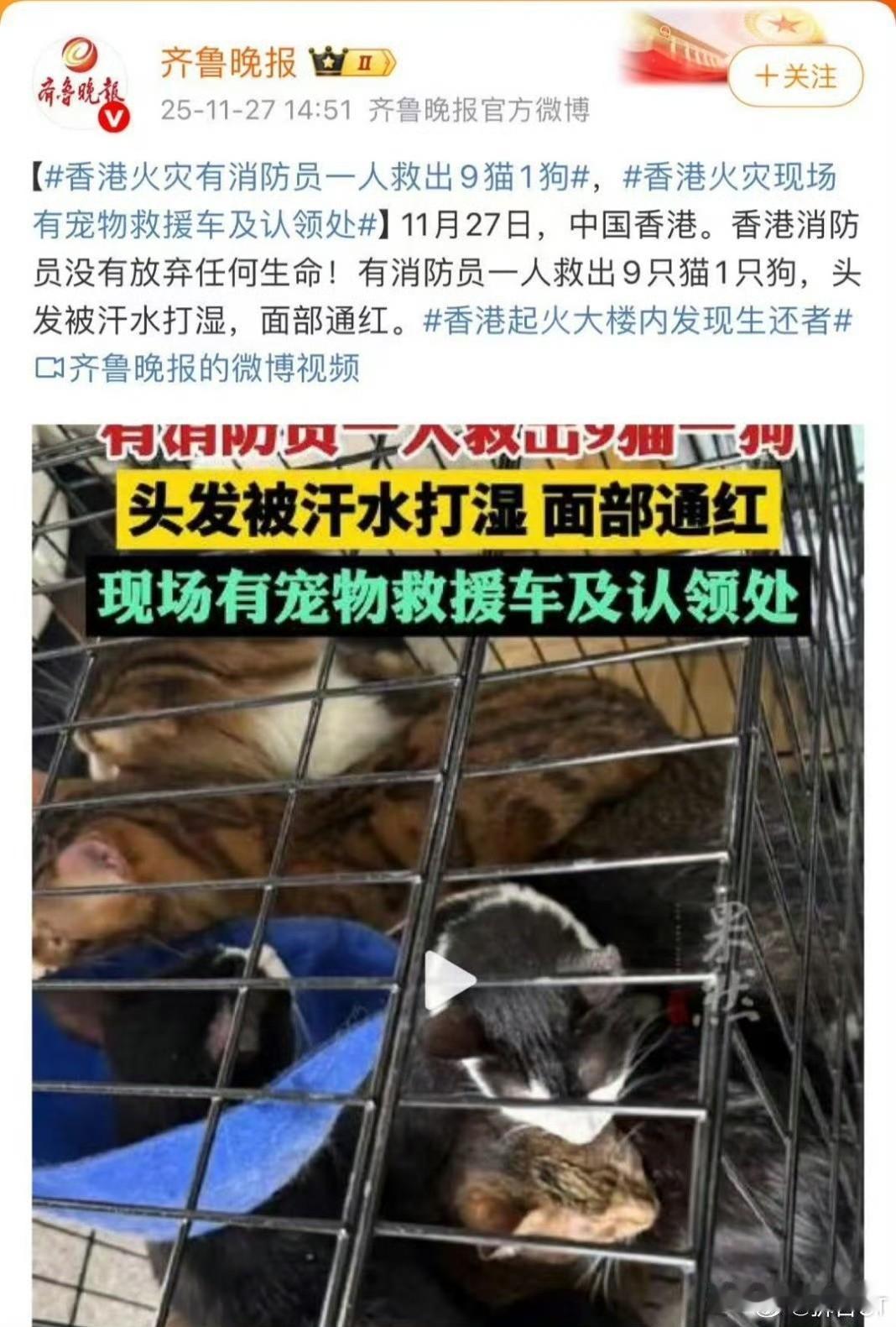 这个……实在没法说！ ​​​