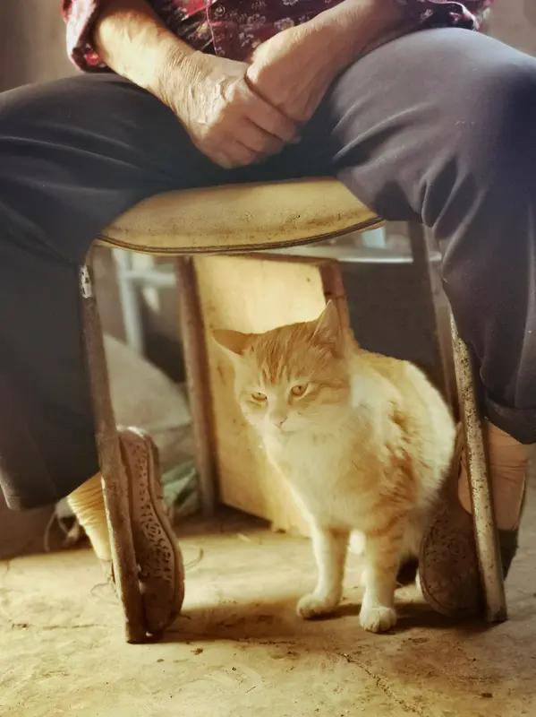 看到很扎心的一句话：“请善待你的母亲，因为她下辈子不会再来。如果能一命抵一命，那