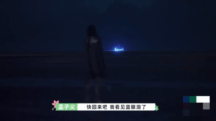 孟子义桃花坞的蓝眼泪沈汐和看到了孟子义看到蓝眼泪啦五十公里桃花坞6剧里沈汐和拥有