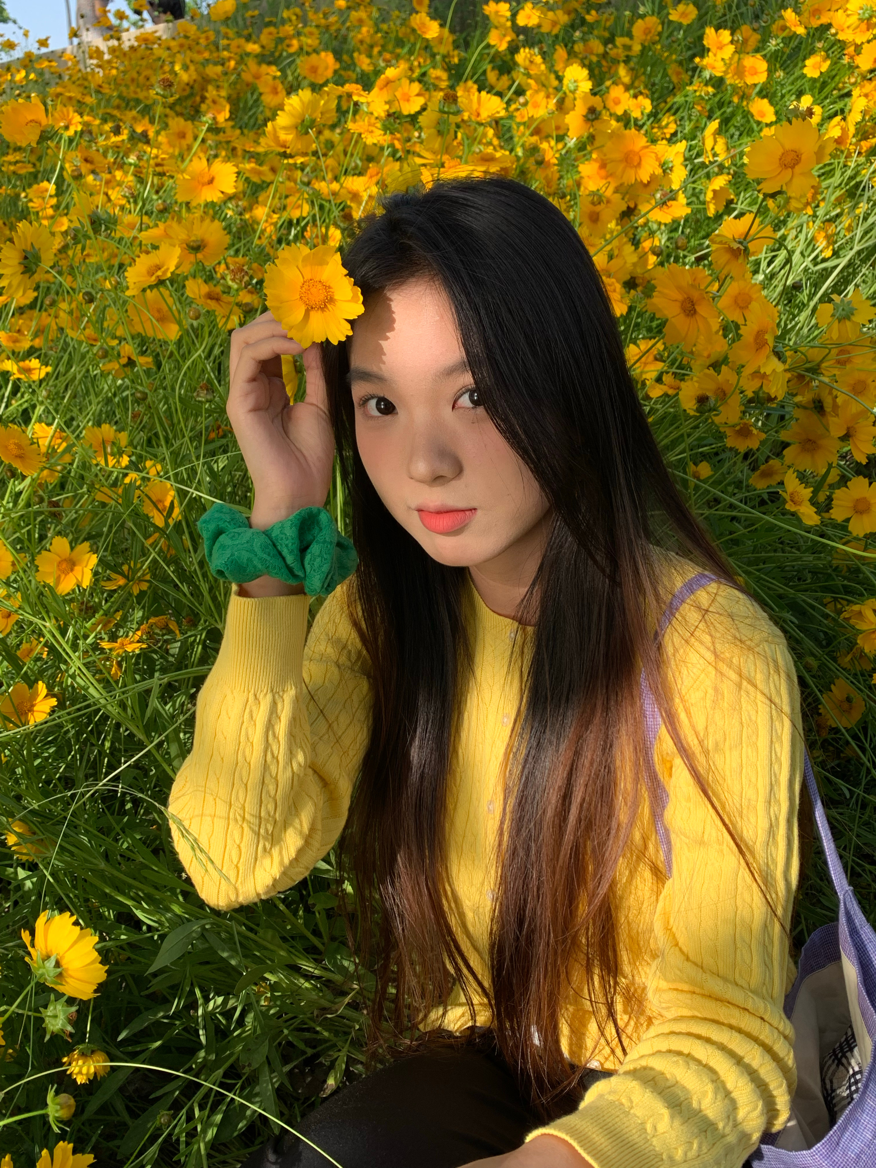 🌼 ​​​