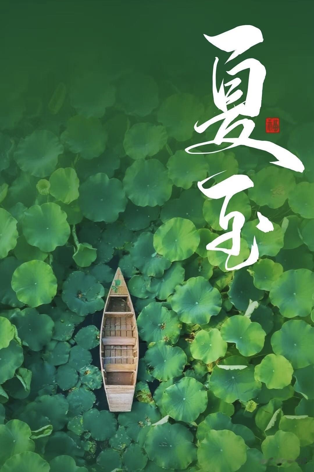 记录我的2026今天恰逢夏至遇上父亲节，双倍温柔送给家里两位老爸。一早备好鲜花、