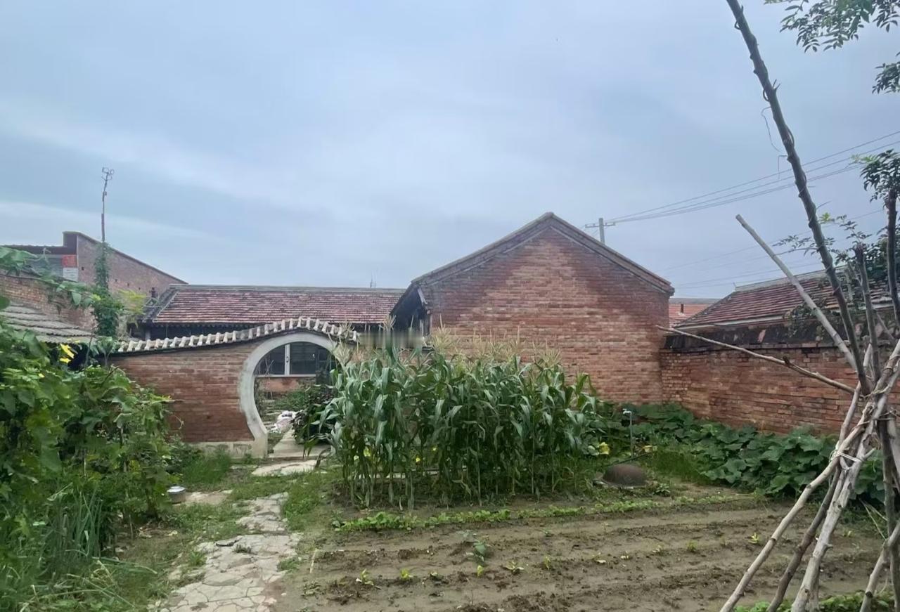 晒图笔记大赛我的老家，这是我的老房。