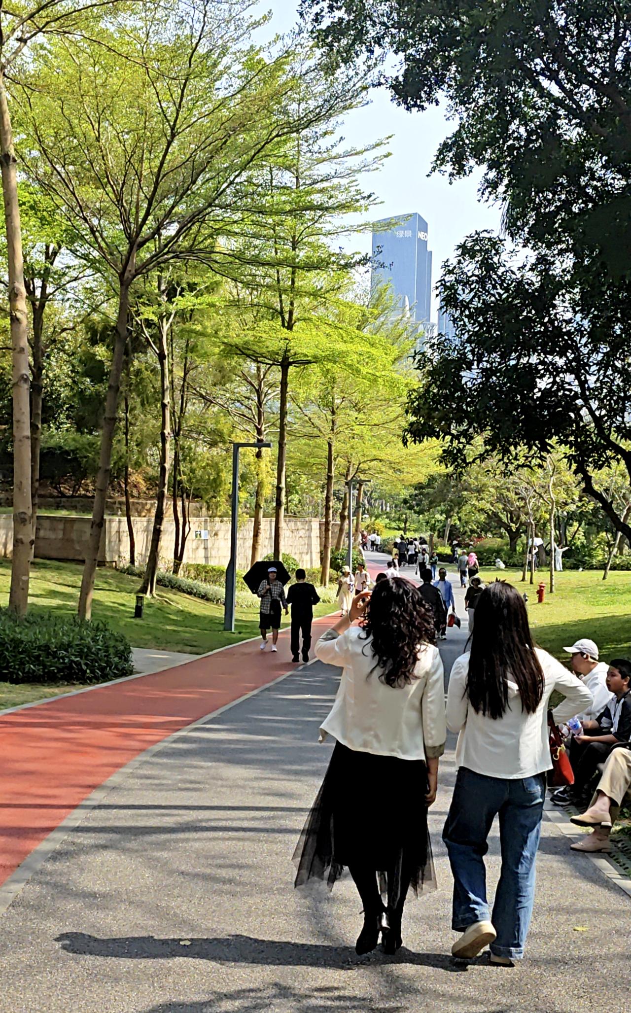 这是3月8号的深圳，阳光灿烂，百花盛开。深圳香蜜公园游客甚众，旁边就是深圳香蜜湖