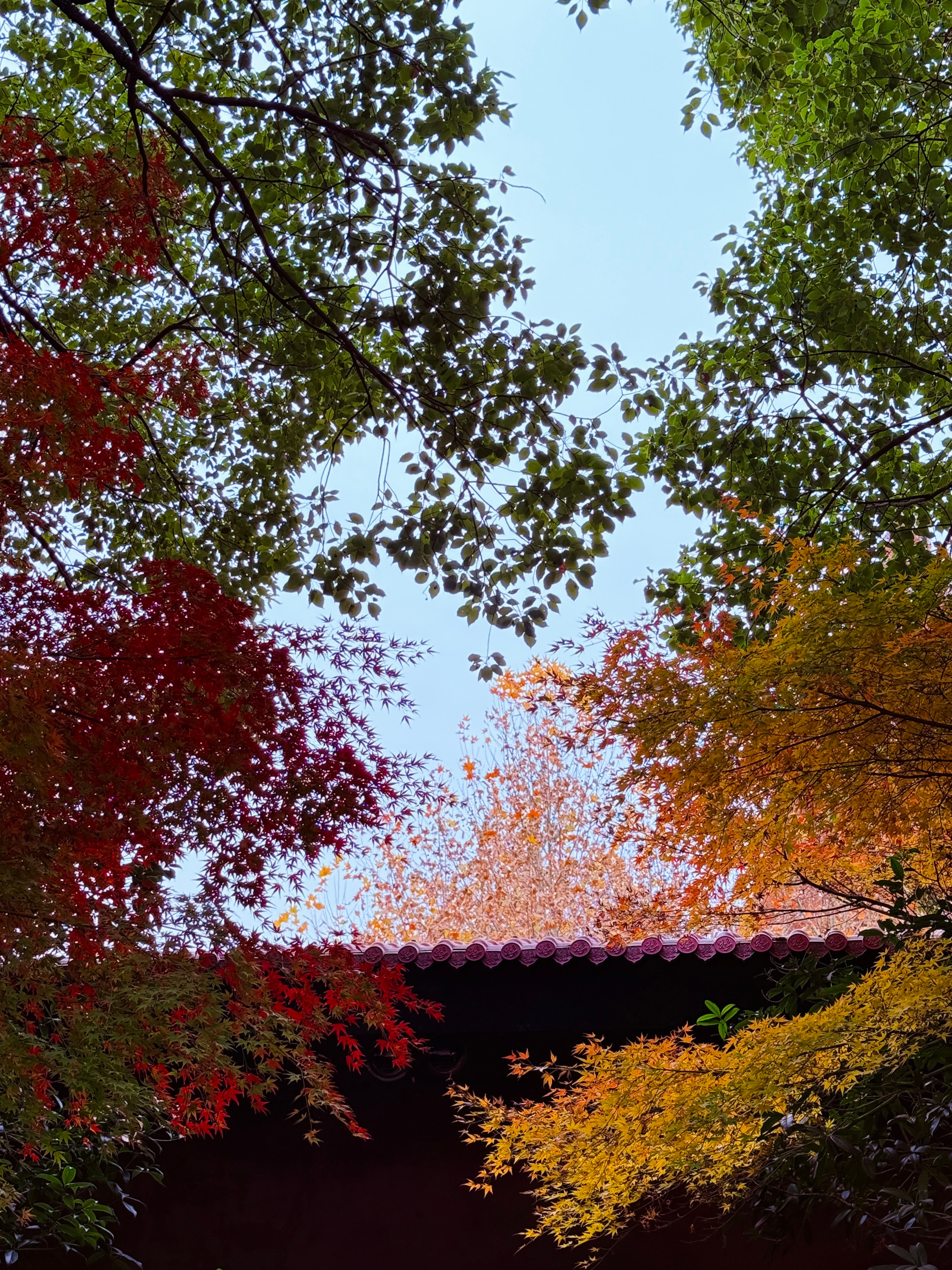 一寸天地，一年四季。  