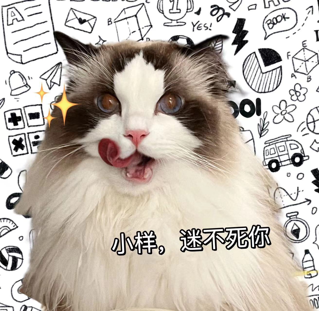 前两张是宗介后一张是阿黛尔，同母异父的姐弟，哈哈哈，两个家长说简直是一模一样，错