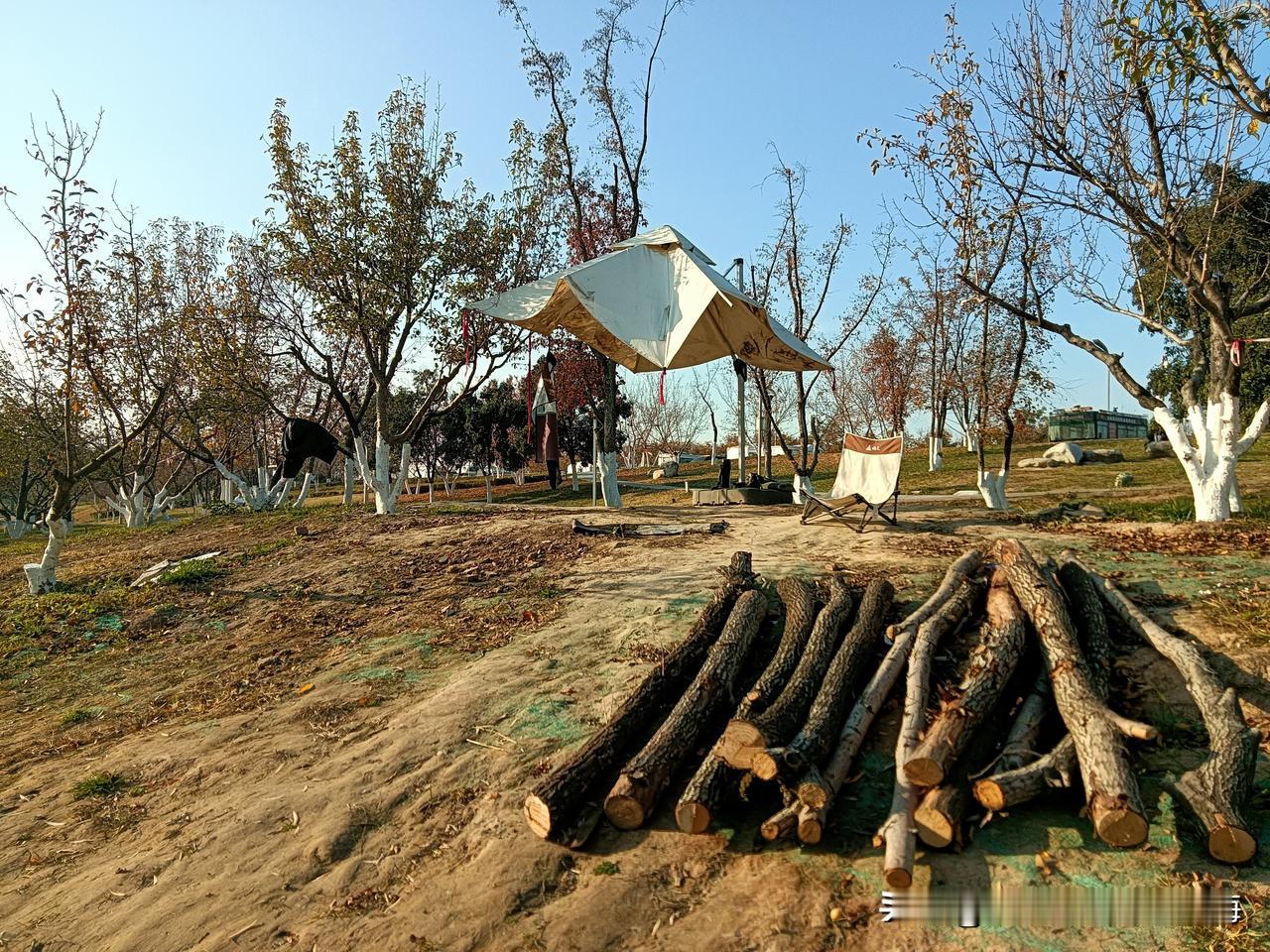 周五下午，去沣河金湾走了小半圈。这是我很喜欢来的众多咸阳公园之一。金湾有两座跨河