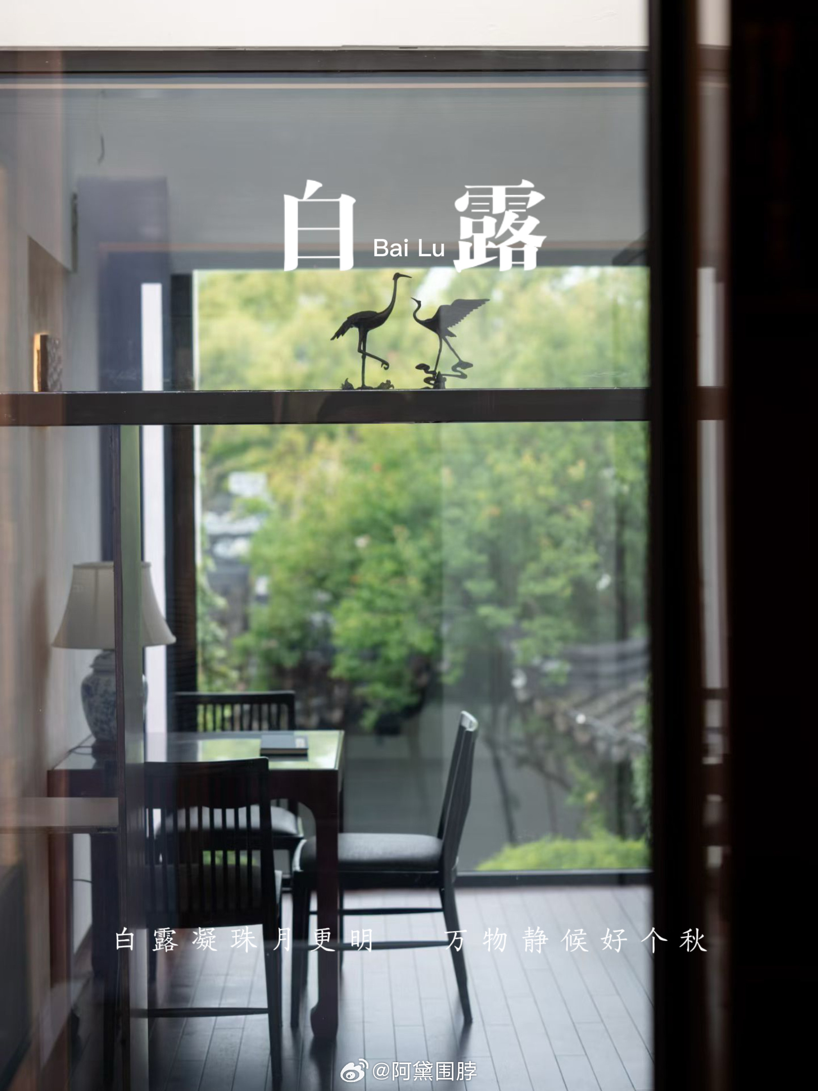 白露蒹葭苍苍，白露为霜所谓伊人，在水一方今日白露，白露在仲秋，硕果满归仓，莫负好