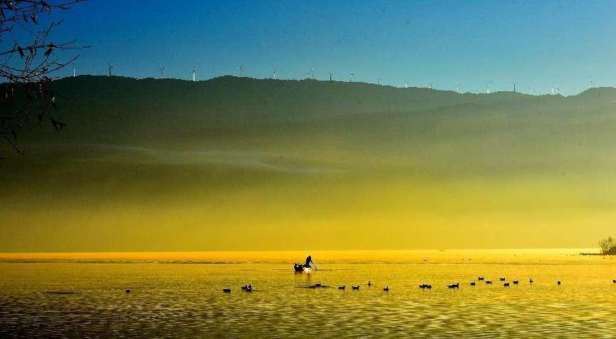 冒充老年人免费蹭公交人员可耻！公交公司系统升级也应跟上才行。//@暖雪润梅:好 