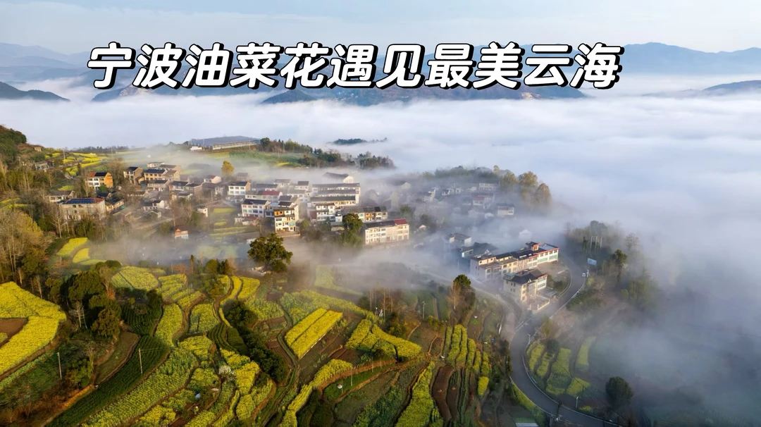 宁海桑洲油菜花｜藏在云海梯田里的江南春天