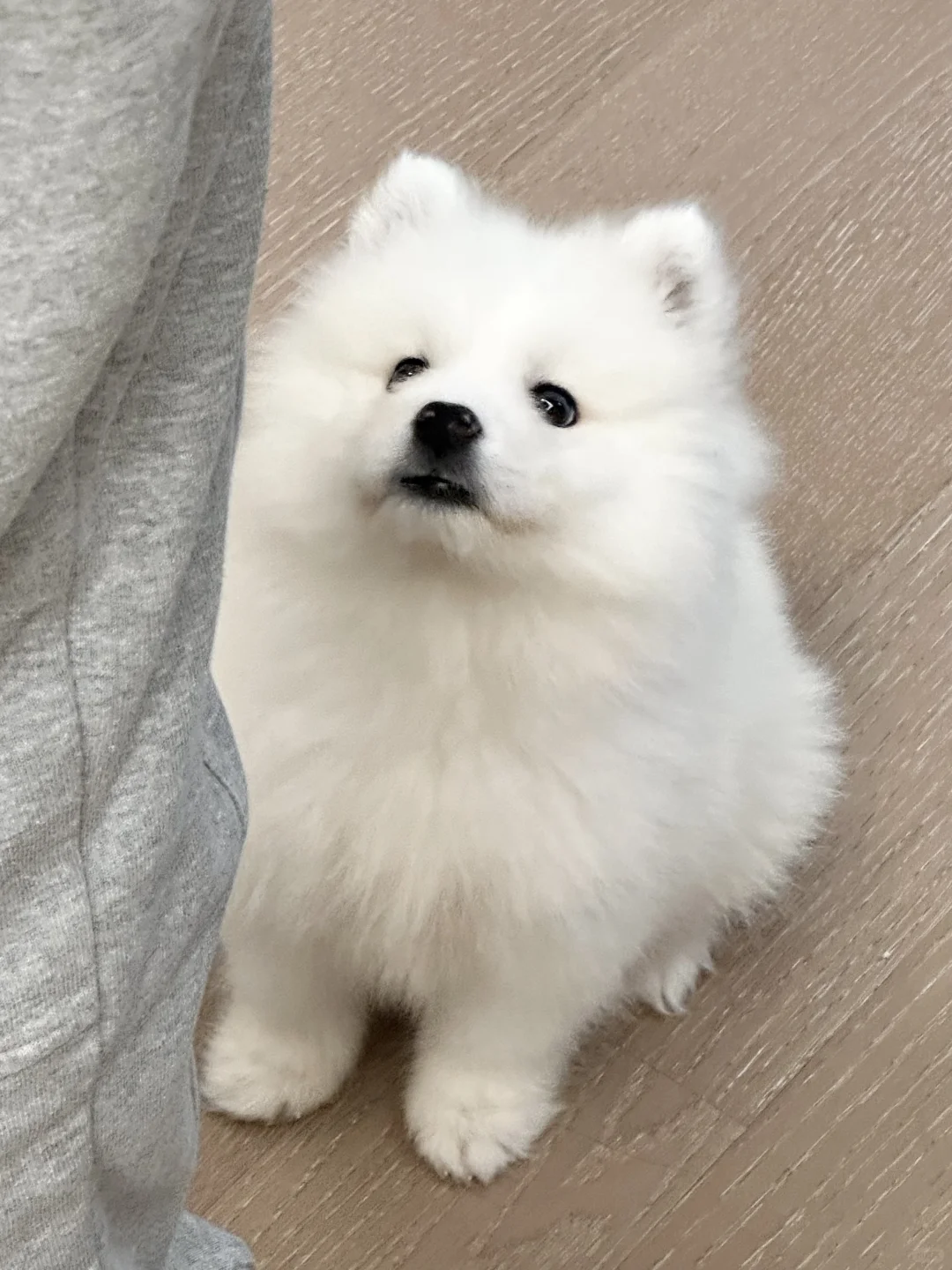 小煤气罐吃饭预备备