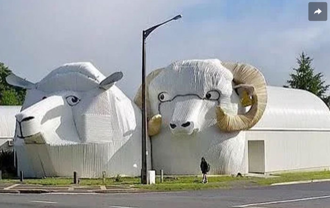 新西兰的一个建筑 