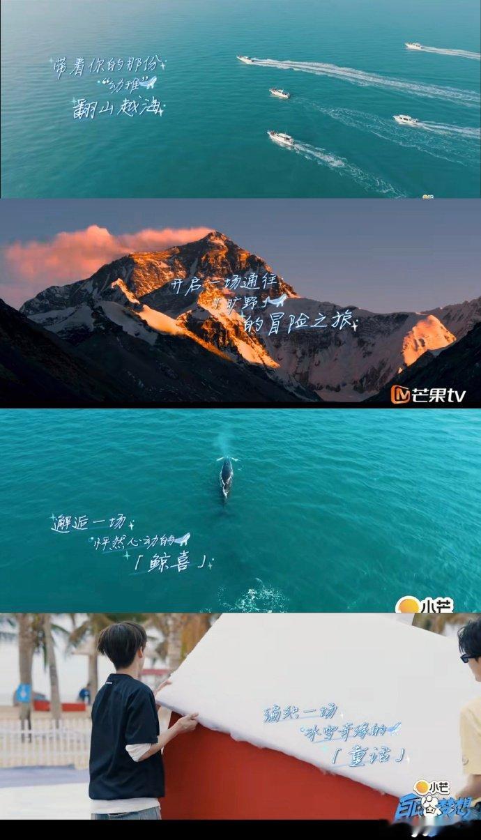 芒果文案的含金量还在上升宝子们，芒果文案永远不会让人失望，含金量持续 up，每次