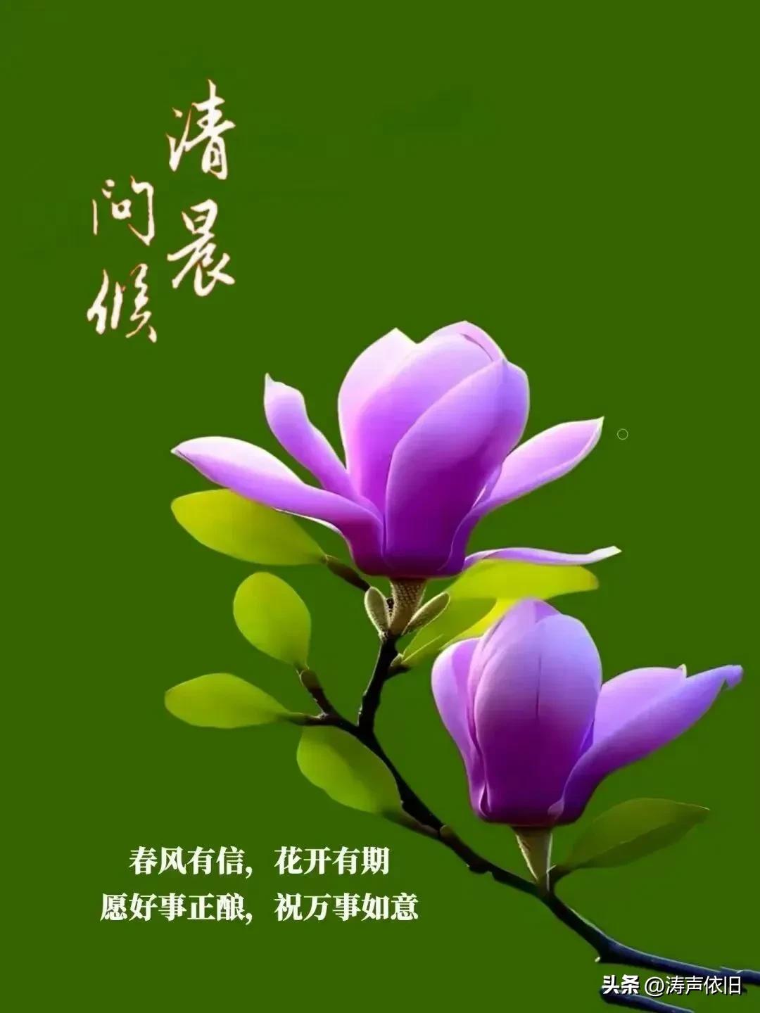《卜算子·寄友》

心静绝纤尘，
惦念悄无声。
一纸清言寄远怀，
愿伴平安景。