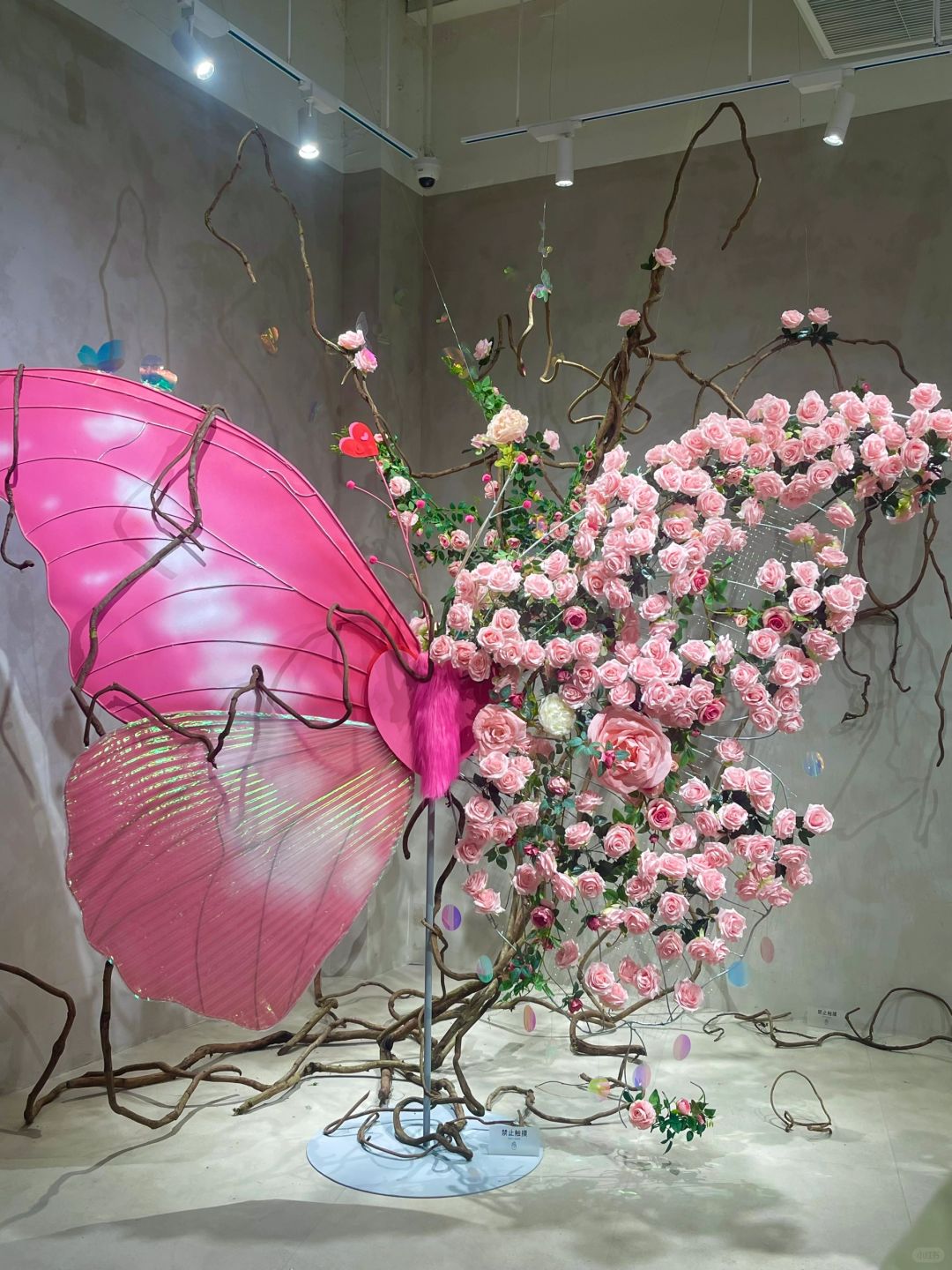 成都新展！！真的不要太浪漫了~(附live图)