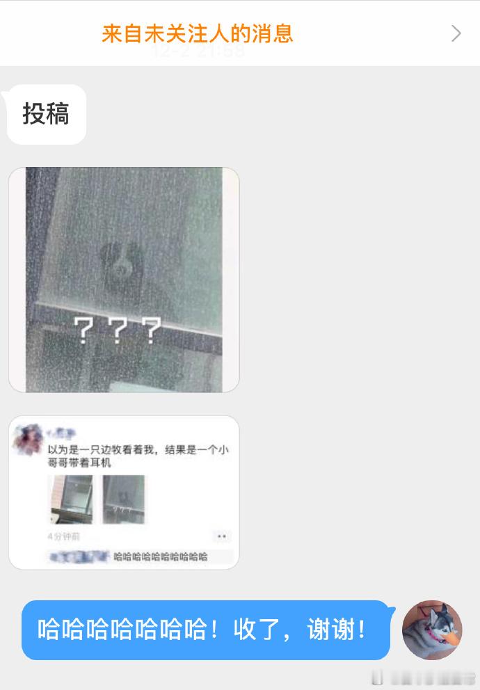 🐶：？？？？？？？？？？ ？？？ 