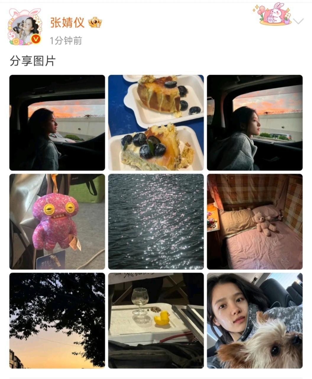 张婧仪张婧仪晒生活照张婧仪生活照九宫格张婧仪晒生活照 