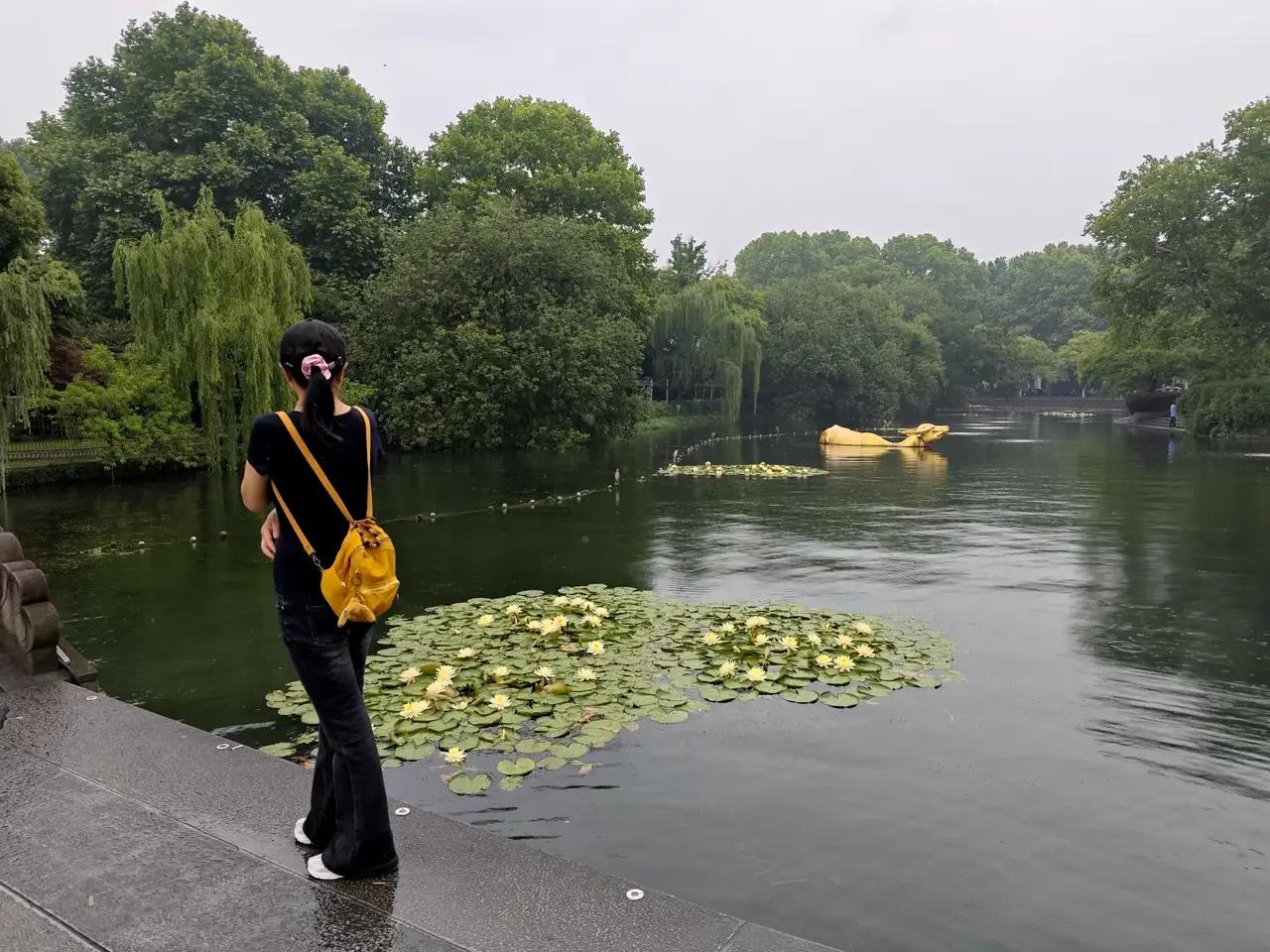 我的今日状态：😁轻松愉快
我这里的天气：🌧下雨

杭州最近几天雨下不停，西湖